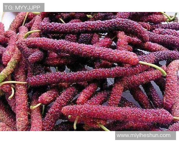 探索足球野果的奇妙世界与其在运动中的潜在价值与应用